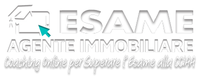 alessio palmieri esame agente immobiliare